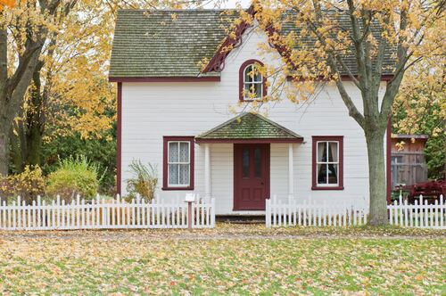7 Precautions Senior Citizens Must Take If There Are Pests At Home
